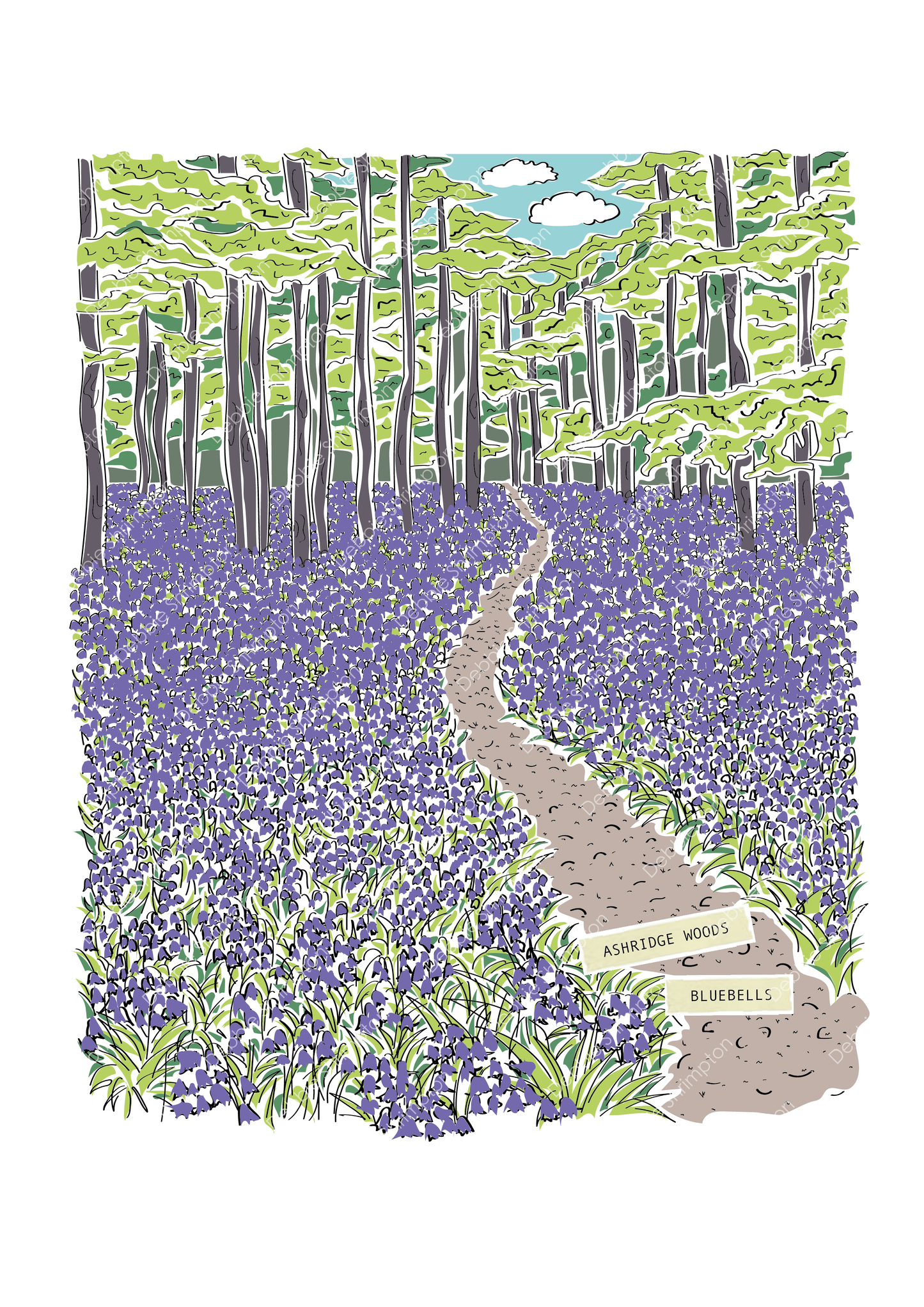 Ashridge Bluebells Framed Illustration