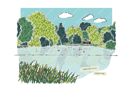 HAMPSTEAD_HEATH_MIXED_POND