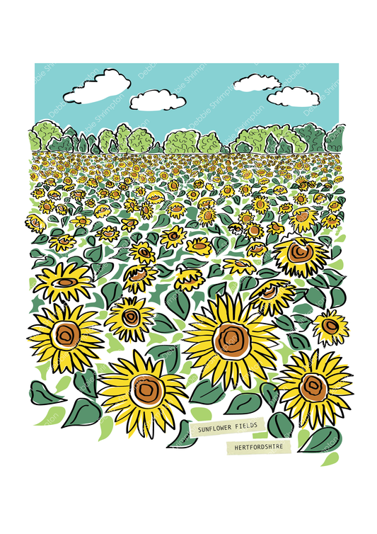 Sunflower Fields Framed Illustration