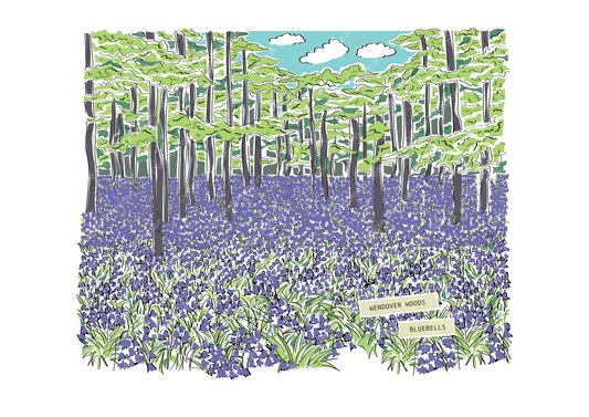 Wendover Woods Bluebells Framed Illustration