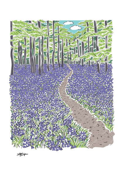 Bluebell Woods Framed Illustration