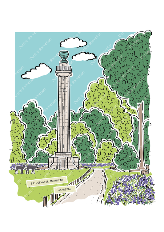 Bridgewater Monument, Ashridge Framed Illustration