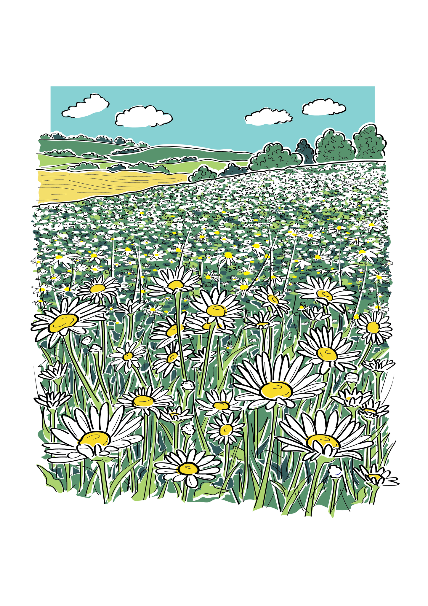 Daisy Fields Illustration
