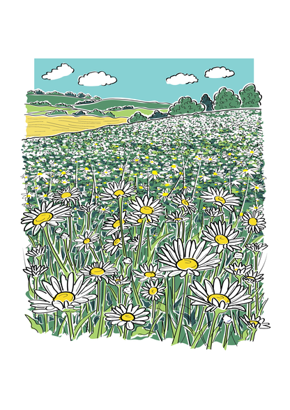 Daisy Fields Illustration