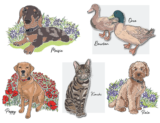 Pet Portrait