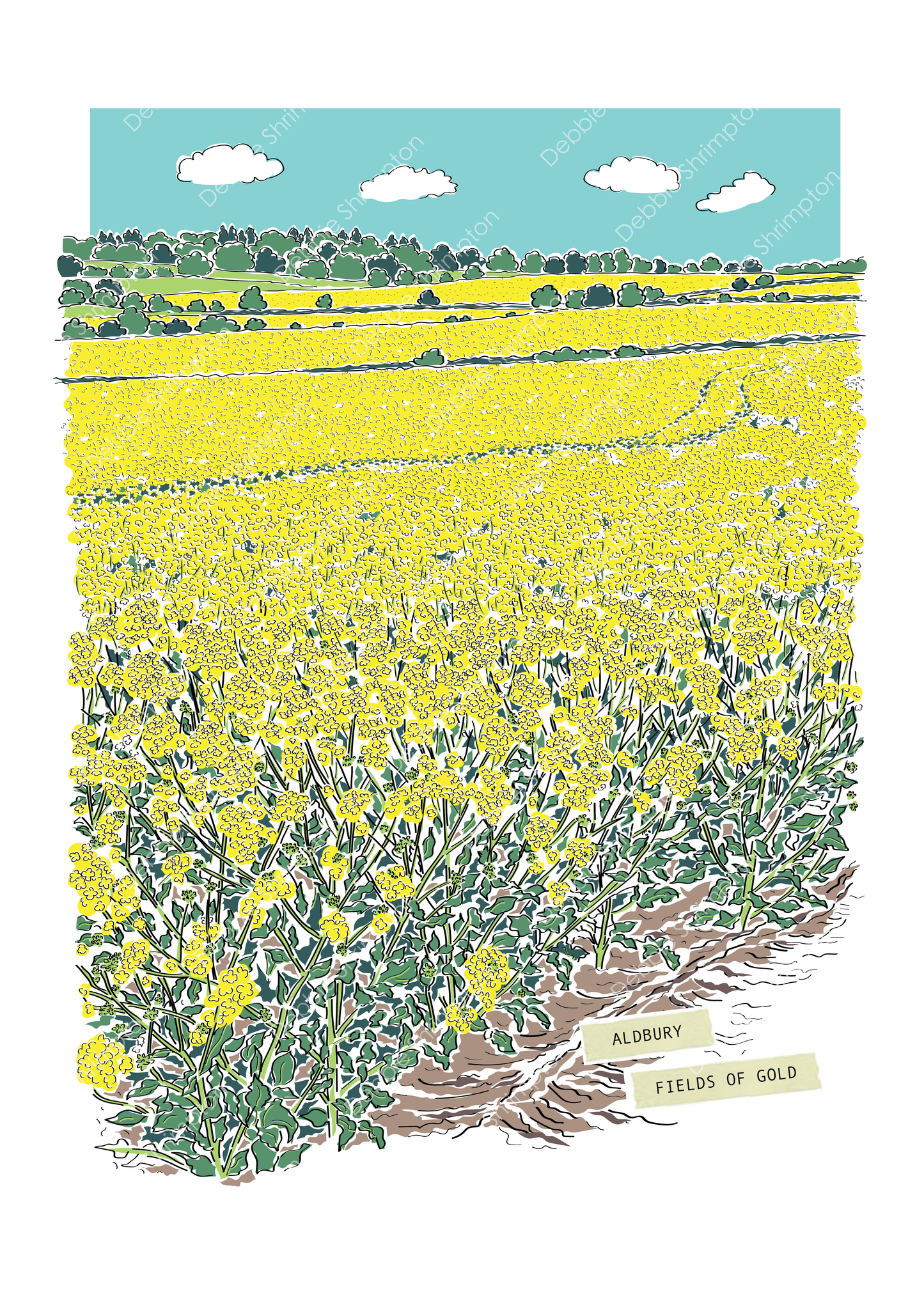 Aldbury Fields of Gold Illustration
