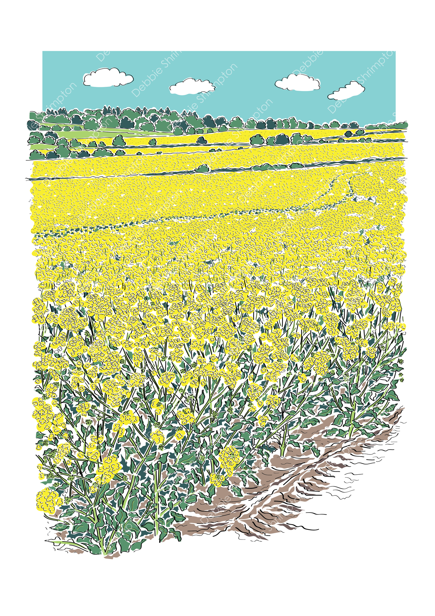 Fields of Oil Seed Rape Illustration