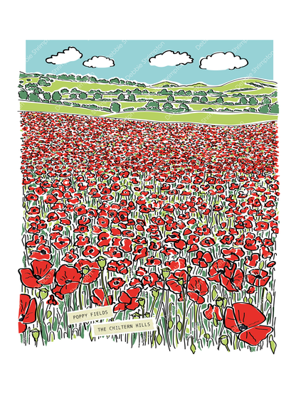 Poppy Fields Framed Illustration