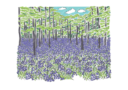 Bluebell Woods Landscape Framed Illustration