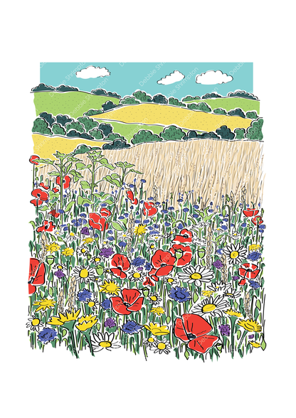 Wild Flower and wheat fields Illustration